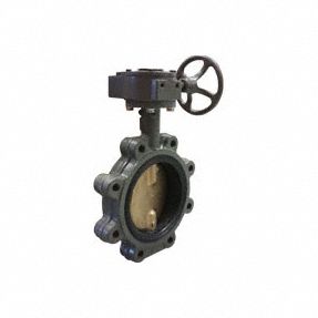Butterfly Valve Lug 6 In CI EPDM Gear