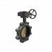 Butterfly Valve Lug 6 In CI EPDM Gear