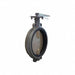 Butterfly Valve Wafer 4 In Cast Iron