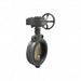 Butterfly Valve Wafer 6 In Cast Iron