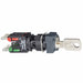 Selector Switch 240VAC 15A