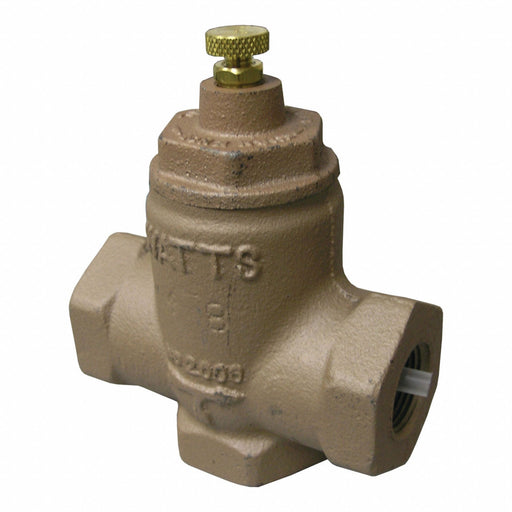 Flow Check Valve 1 In FNPT Cast Iron