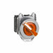 SelectorSwitch Illum 2Pos 30mm Orange