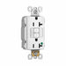 Plugtail Duplex Receptacle