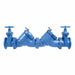 DoubleCheckValve W709 2-1/2in NRSShutoff