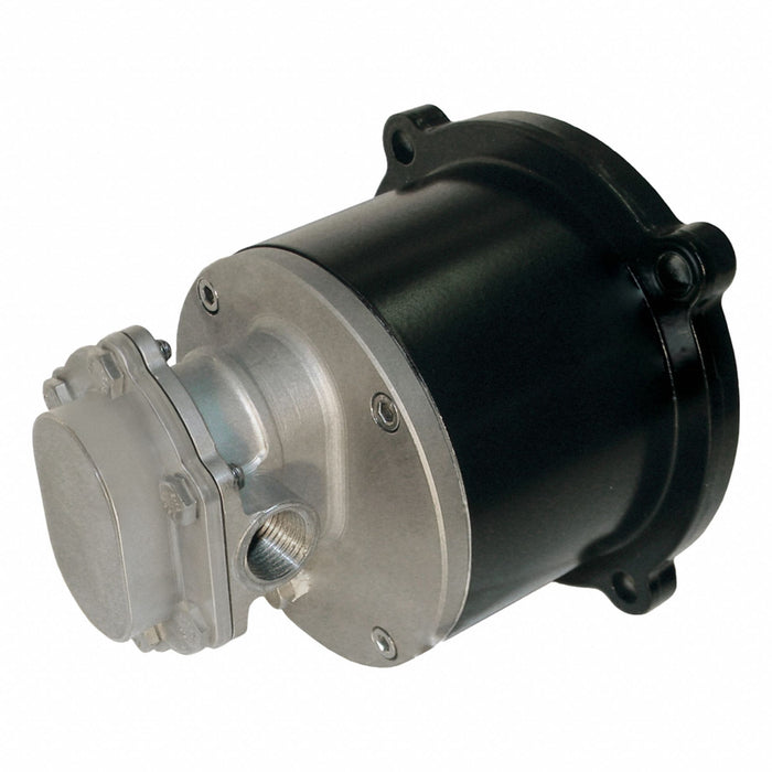 Gear Pump Mag Drive 316 SS