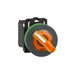 SelectorSwitch Illum 2Pos 30mm Orange
