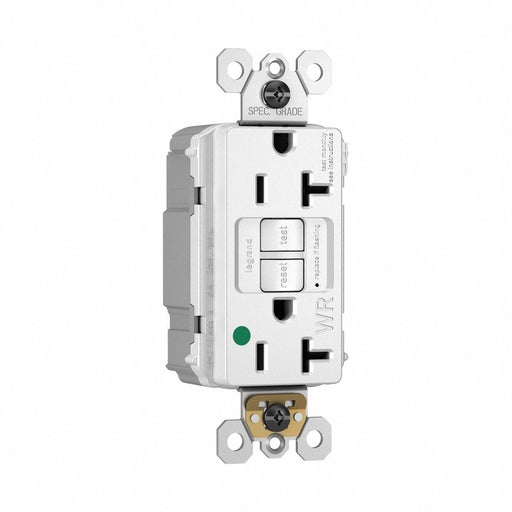 Plugtail Duplex Receptacle