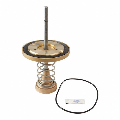Repair Kit Watts Series 909 6 In