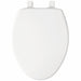 ToiletSeat Wht 14.3125inW 16.875inH