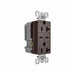 USB Receptacle 20 A