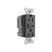 USBChargerRecept 15 A Graphite Type A/C