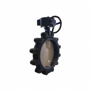 Butterfly Valve Lug 6 In CI Buna Gear