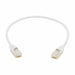 Ethernet Cable