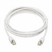Ethernet Cable