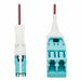 Fiber Cable