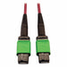 Fiber Cable
