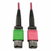 Fiber Cable