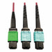 Fiber Cable