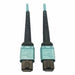 Fiber Cable