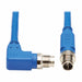 Ethernet Cable