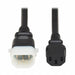 Power Cord