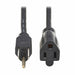 Power Cord 10 ft Black 16 AWG