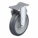 Plate Caster Rigid Polyurethane 6 3/16 H