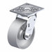 Plate Caster Swivel Iron 6 1/2 H