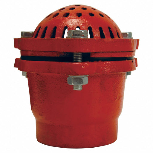 Cast Iron Threaded Foot Valve 2 