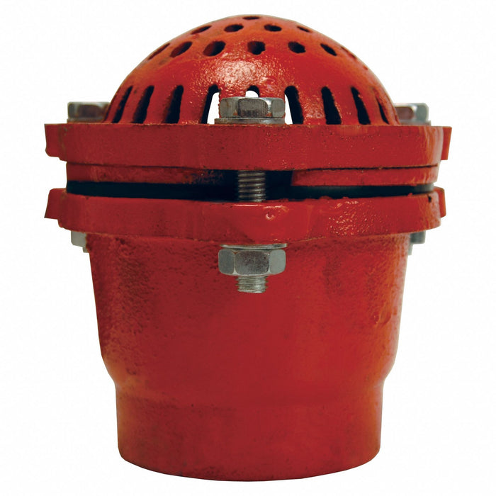 Cast Iron Threaded Foot Valve 2 
